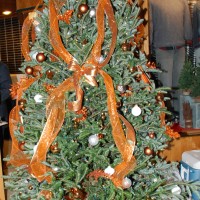 HANDYS FESTIVAL 11.14 099