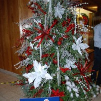 HANDYS FESTIVAL 11.14 104