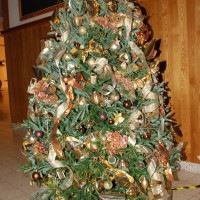 HANDYS FESTIVAL 11.14 107