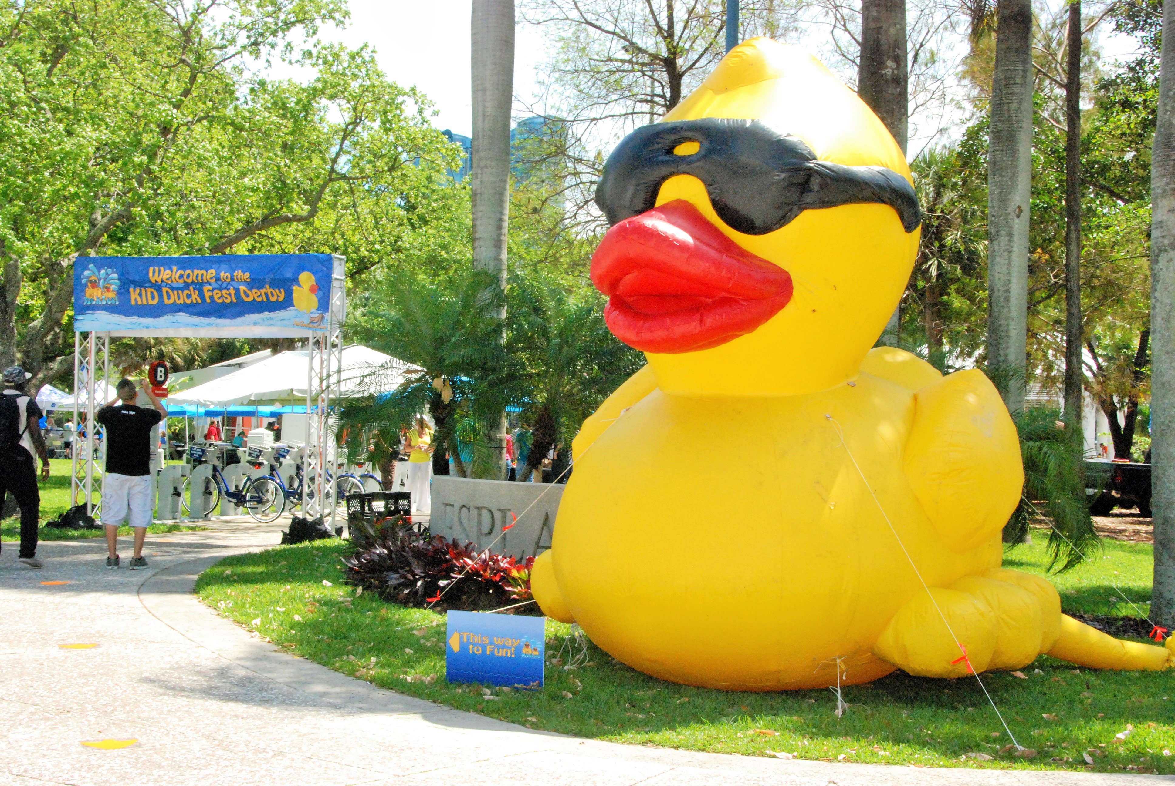 Duck Fest Derby 2014