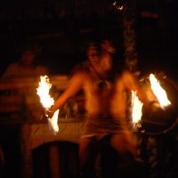 DSC_0391