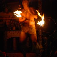 DSC_0392