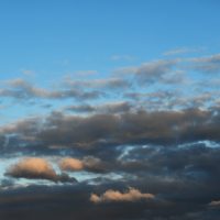 DSC_2857